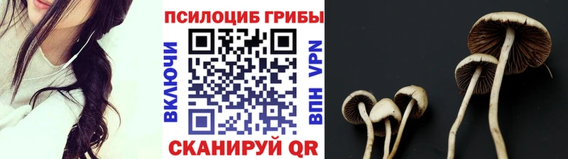 Галлюциногенные грибы MAGIC MUSHROOMS  Купить закладки  Весьегонск 